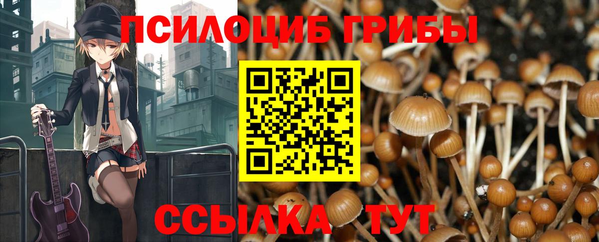 Галлюциногенные грибы Magic Shrooms  Псилоцибиновые грибы Psilocybe  Вход с VPN  Крымск 